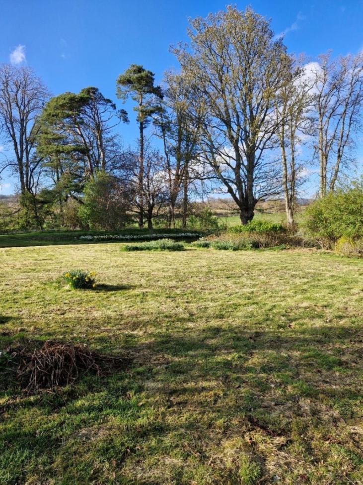 The Bungalow - Ardullie Lodge Dingwall Exterior foto
