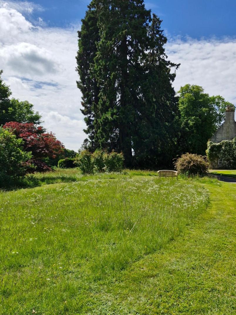The Bungalow - Ardullie Lodge Dingwall Exterior foto